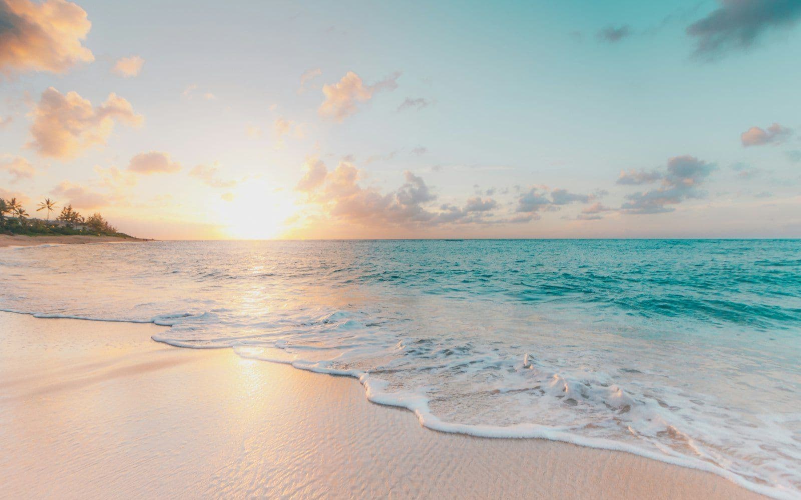 Red Sea Wellness & Recovery Retreat